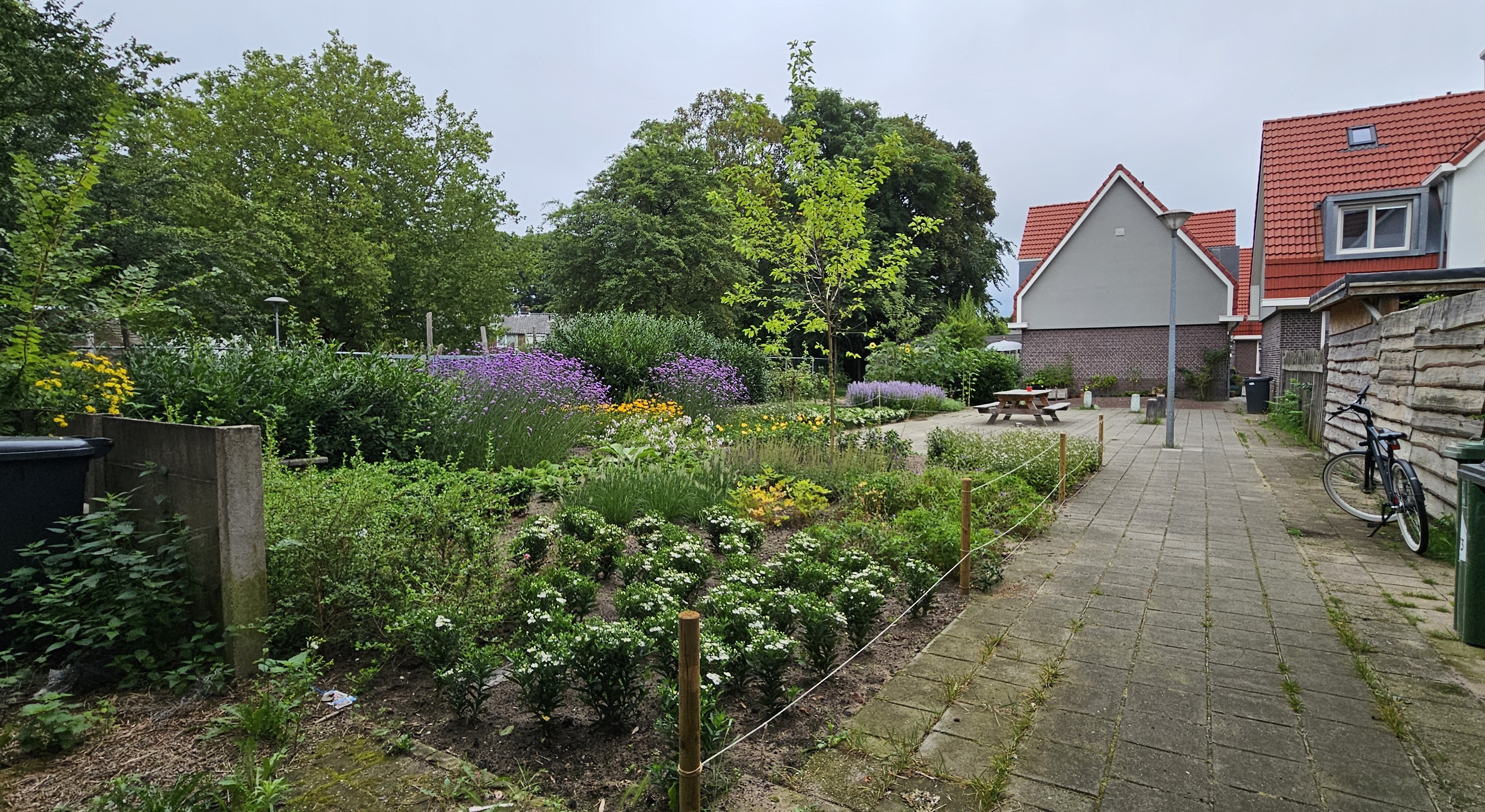 Het plein met veel groen en de picknicktafel