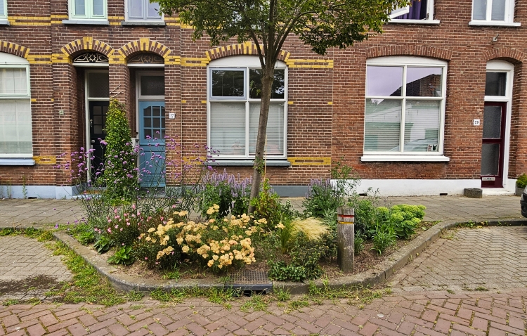 Boomtuin van enkele meters groot met veel bloeiende planten